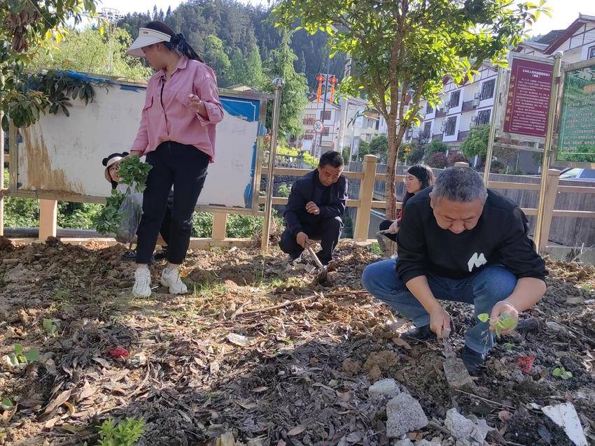 完美体育官方网站驻村工作队挥锹夯土培植花苗